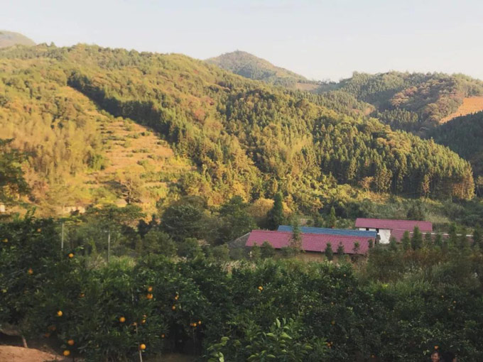 1574497971921076.jpg 1.jpg