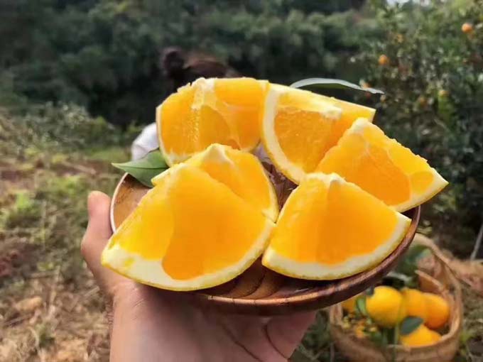 1574498462407878.jpg 10.jpg