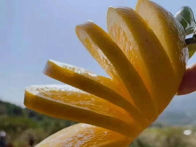 1574498470681049.jpg 11.jpg