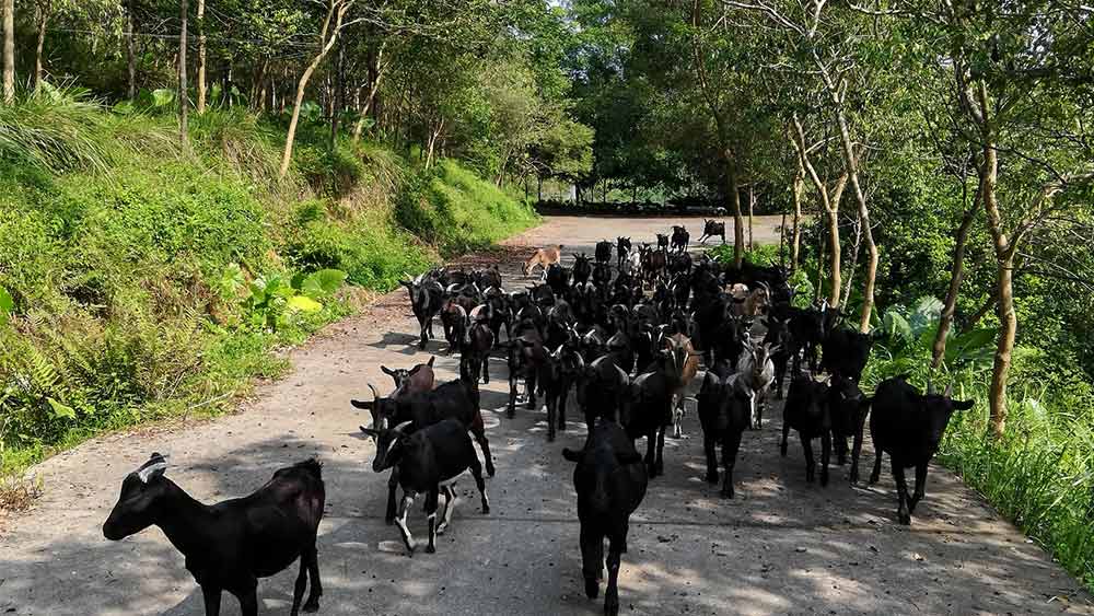 意合云客戶福利篇！