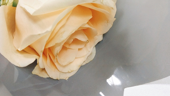 意合云的520，是這樣的